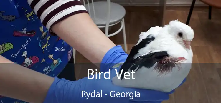 Bird Vet Rydal - Georgia