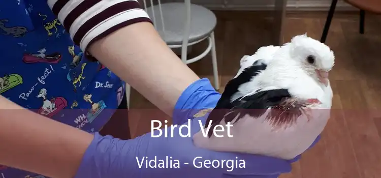 Bird Vet Vidalia - Georgia