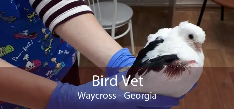 Bird Vet Waycross - Georgia