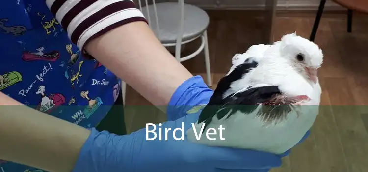 Bird Vet
