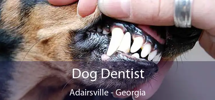 Dog Dentist Adairsville - Georgia