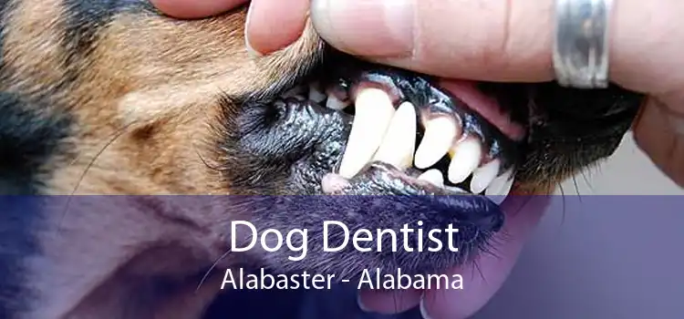 Dog Dentist Alabaster - Alabama