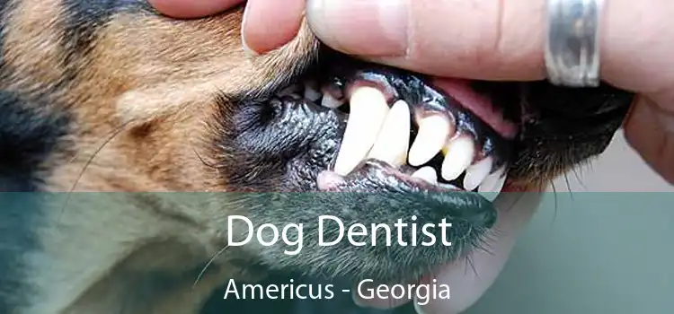 Dog Dentist Americus - Georgia