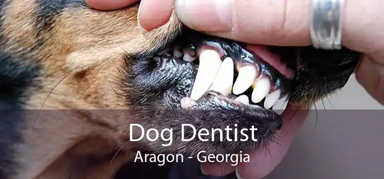 Dog Dentist Aragon - Georgia