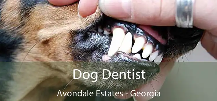 Dog Dentist Avondale Estates - Georgia