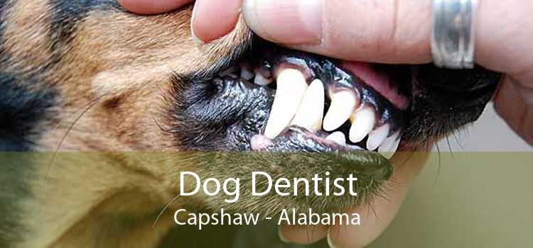 Dog Dentist Capshaw - Alabama