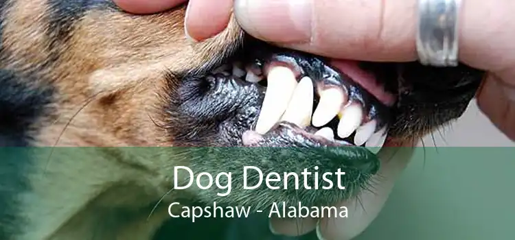 Dog Dentist Capshaw - Alabama