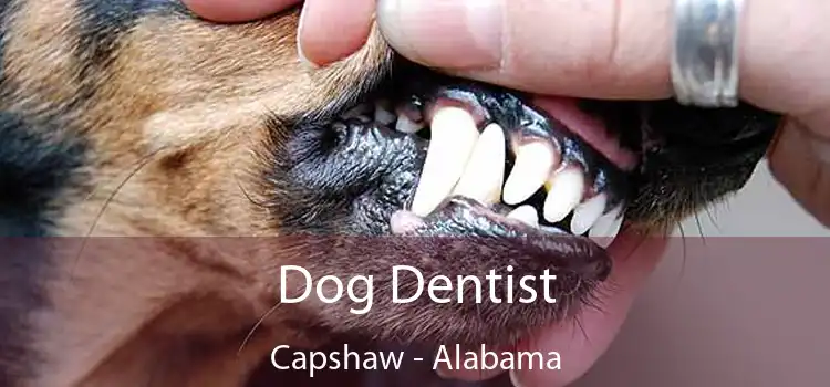 Dog Dentist Capshaw - Alabama