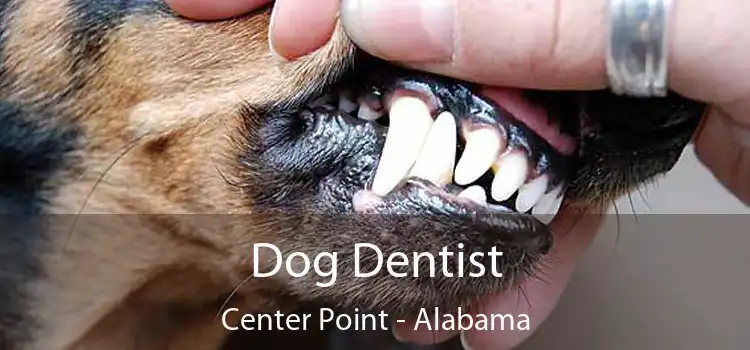 Dog Dentist Center Point - Alabama