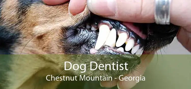 Dog Dentist Chestnut Mountain - Georgia