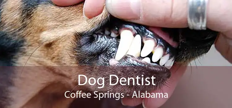 Dog Dentist Coffee Springs - Alabama