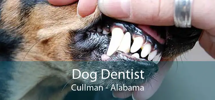 Dog Dentist Cullman - Alabama