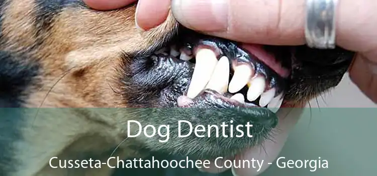 Dog Dentist Cusseta-Chattahoochee County - Georgia