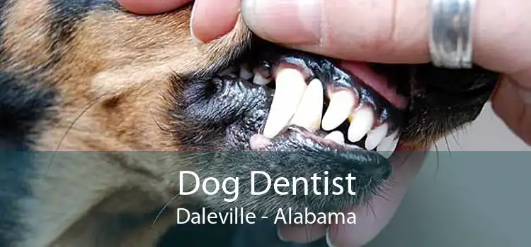 Dog Dentist Daleville - Alabama