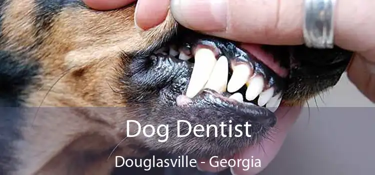 Dog Dentist Douglasville - Georgia