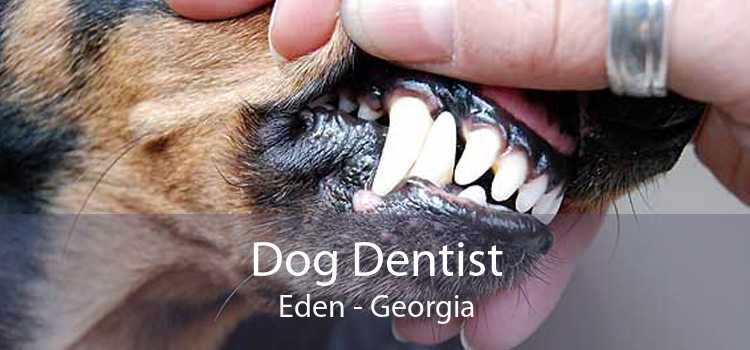 Dog Dentist Eden - Georgia