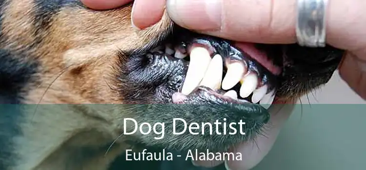 Dog Dentist Eufaula - Alabama