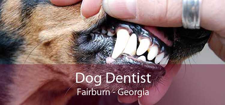 Dog Dentist Fairburn - Georgia