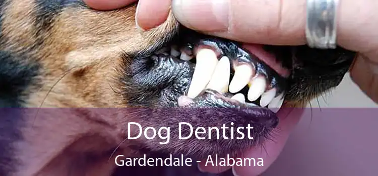 Dog Dentist Gardendale - Alabama