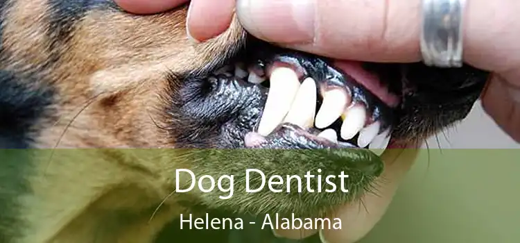 Dog Dentist Helena - Alabama