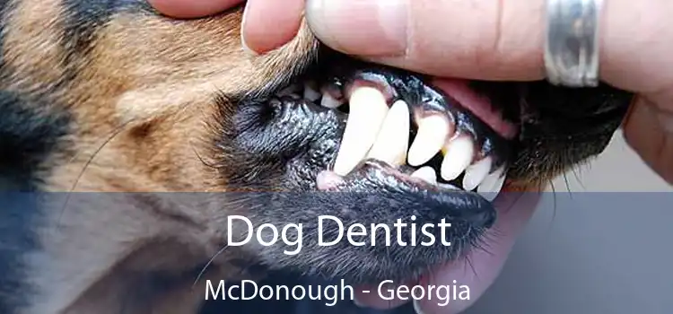 Dog Dentist McDonough - Georgia