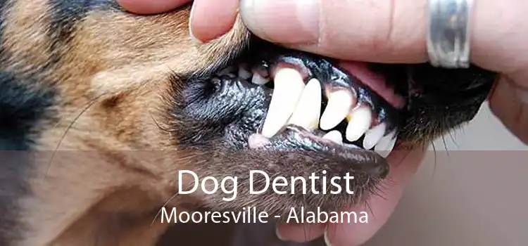 Dog Dentist Mooresville - Alabama