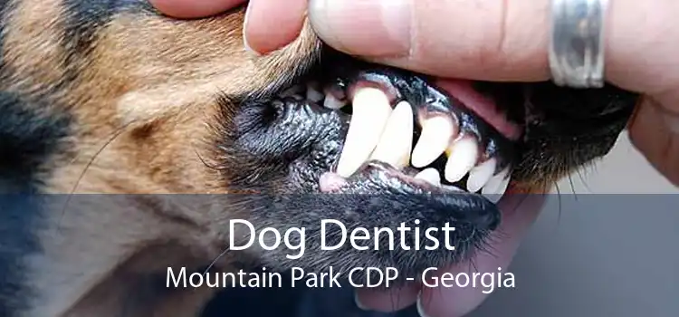 Dog Dentist Mountain Park CDP - Georgia