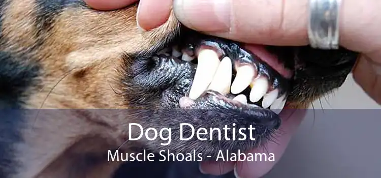 Dog Dentist Muscle Shoals - Alabama