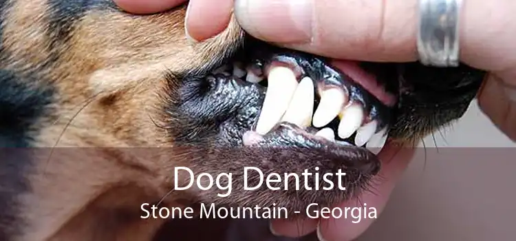 Dog Dentist Stone Mountain - Georgia