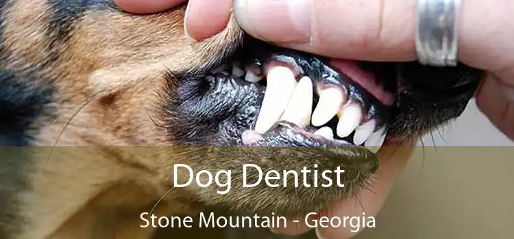 Dog Dentist Stone Mountain - Georgia