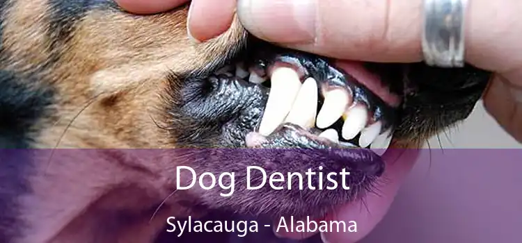 Dog Dentist Sylacauga - Alabama