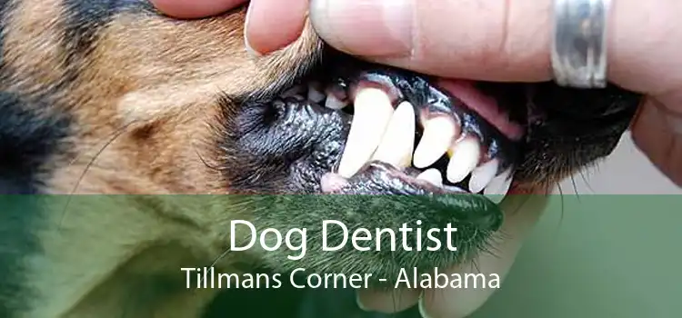 Dog Dentist Tillmans Corner - Alabama