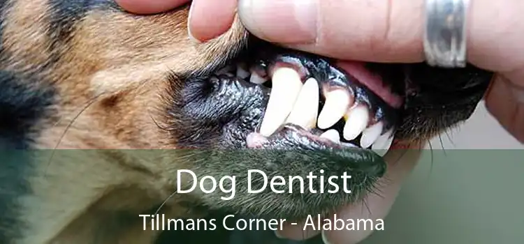 Dog Dentist Tillmans Corner - Alabama