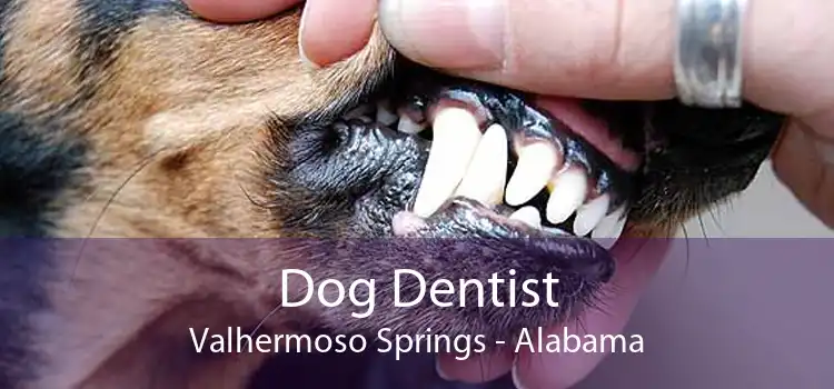 Dog Dentist Valhermoso Springs - Alabama