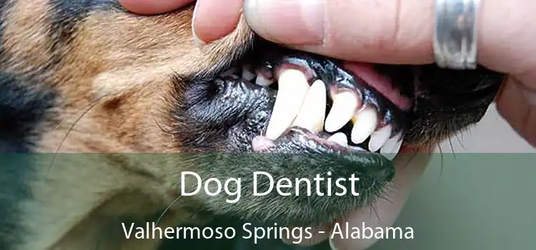 Dog Dentist Valhermoso Springs - Alabama