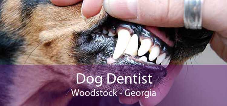 Dog Dentist Woodstock - Georgia
