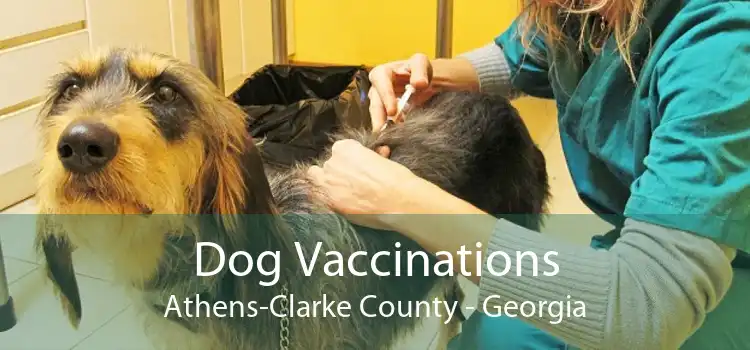 Dog Vaccinations Athens-Clarke County - Georgia