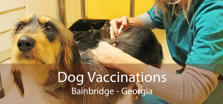 Dog Vaccinations Bainbridge - Georgia