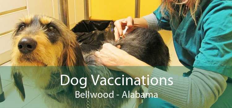 Dog Vaccinations Bellwood - Alabama