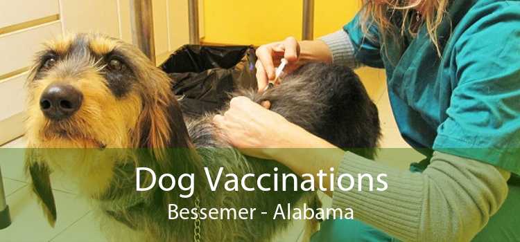 Dog Vaccinations Bessemer - Alabama