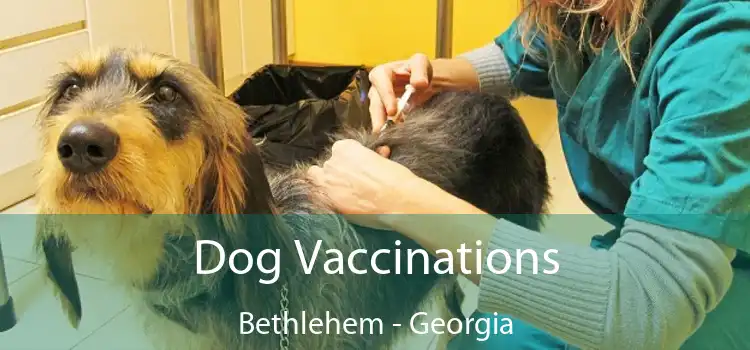 Dog Vaccinations Bethlehem - Georgia