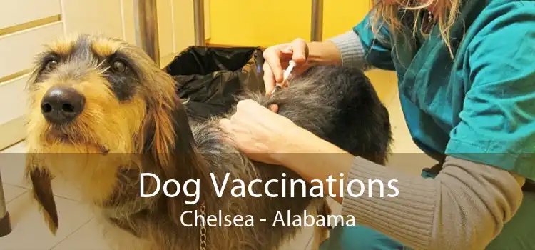 Dog Vaccinations Chelsea - Alabama