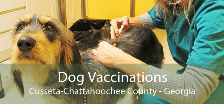 Dog Vaccinations Cusseta-Chattahoochee County - Georgia