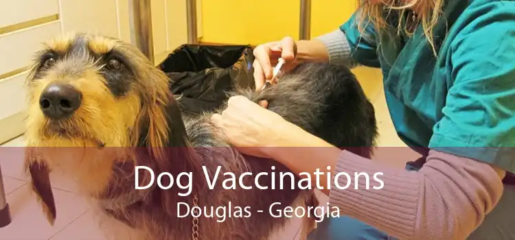Dog Vaccinations Douglas - Georgia