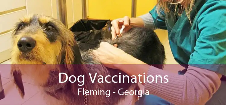 Dog Vaccinations Fleming - Georgia