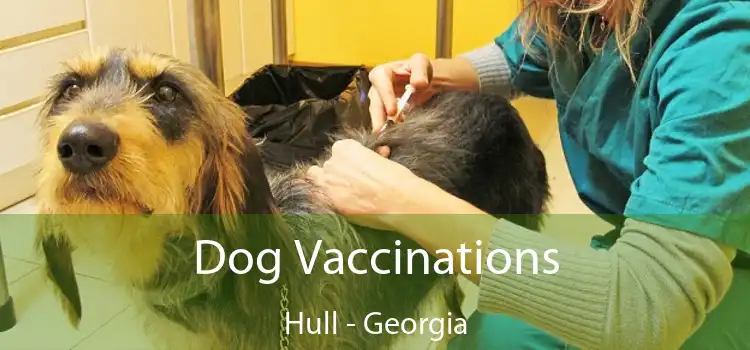 Dog Vaccinations Hull - Georgia