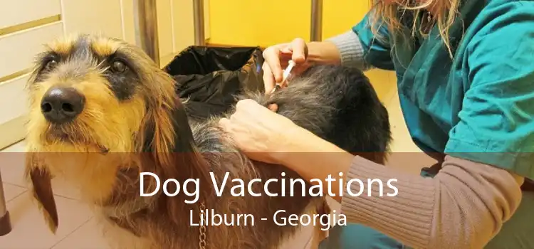 Dog Vaccinations Lilburn - Georgia