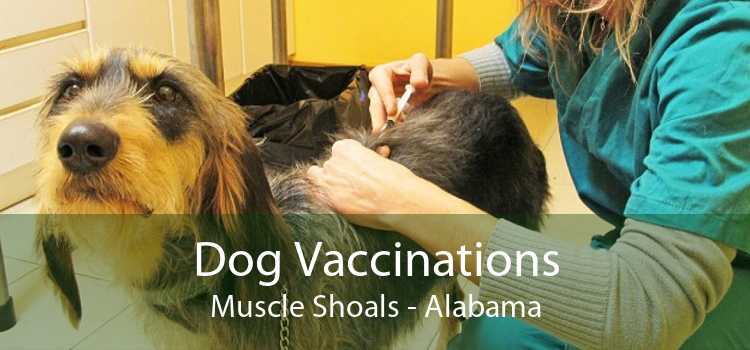Dog Vaccinations Muscle Shoals - Alabama