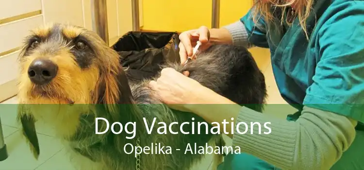 Dog Vaccinations Opelika - Alabama