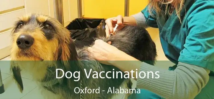 Dog Vaccinations Oxford - Alabama